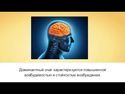 Доминантный очаг характеризуется повышенной возбудимостью и стойкостью возбуждения.