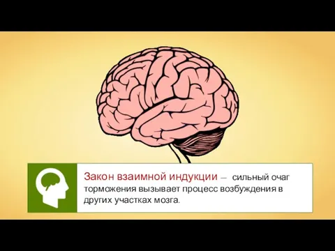 Закон взаимной индукции — сильный очаг торможения вызывает процесс возбуждения в других участках мозга.