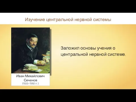 Заложил основы учения о центральной нервной системе. Изучение центральной нервной системы Иван Михайлович Сеченов (1533–1592 гг.)