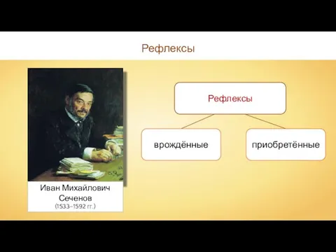 Рефлексы Рефлексы Иван Михайлович Сеченов (1533–1592 гг.)