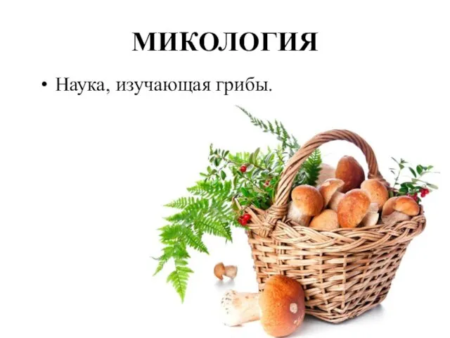 МИКОЛОГИЯ Наука, изучающая грибы.