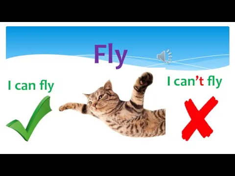 Fly I can’t fly I can fly