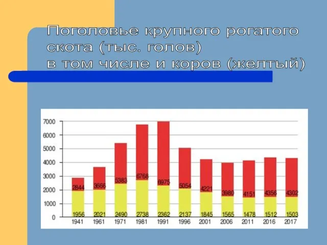 Поголовье крупного рогатого скота (тыс. голов) в том числе и коров (желтый)