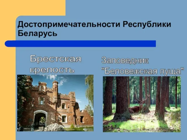 Достопримечательности Республики Беларусь Брестская крепость Заповедник "Беловежская пуща"