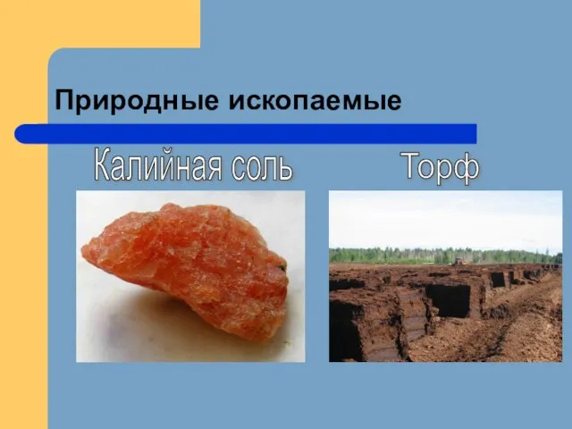 Природные ископаемые Калийная соль Торф