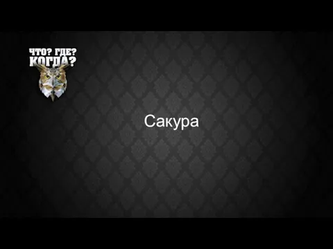 Сакура