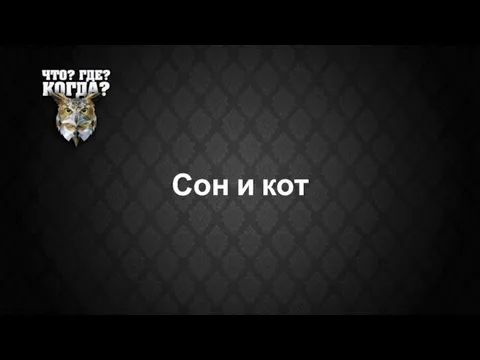 Сон и кот