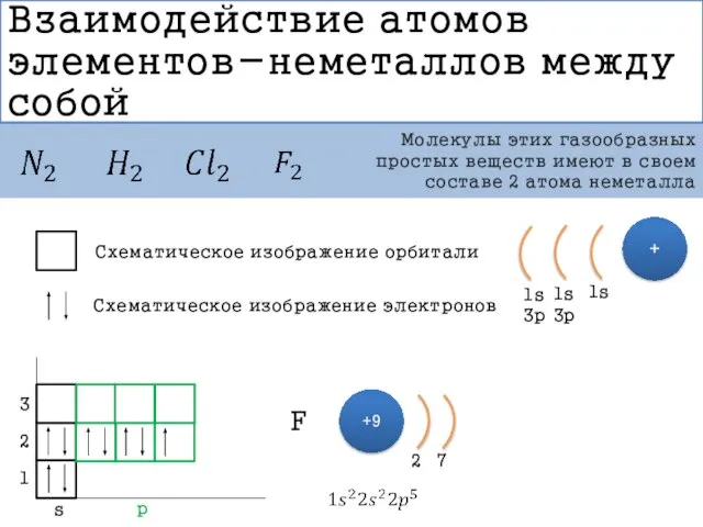 Взаимодействие атомов элементов-неметаллов между собой Молекулы этих газообразных простых веществ имеют в