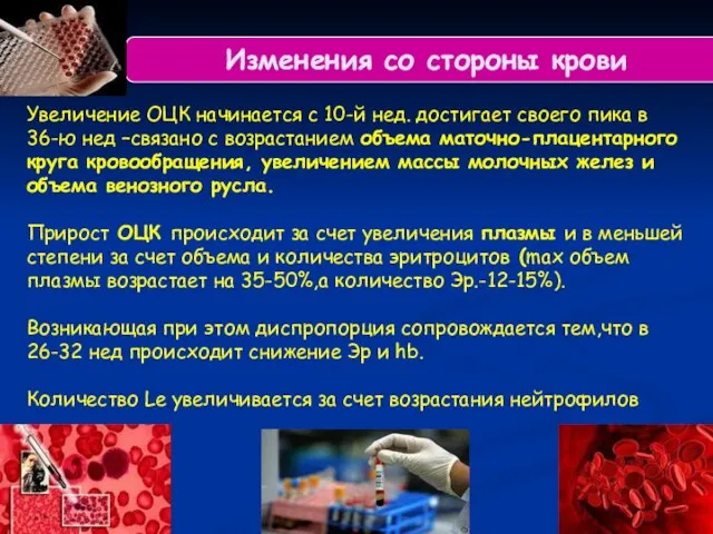 Изменения со стороны крови Увеличение ОЦК начинается с 10-й нед. достигает своего