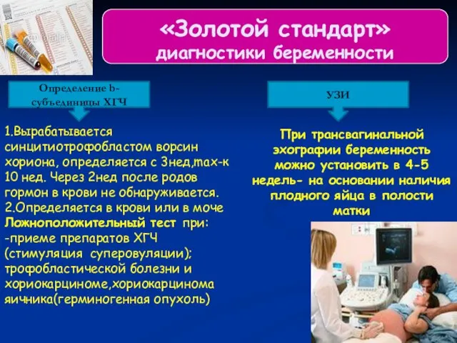 «Золотой стандарт» диагностики беременности Определение b-субъединицы ХГЧ УЗИ 1.Вырабатывается синцитиотрофобластом ворсин хориона,