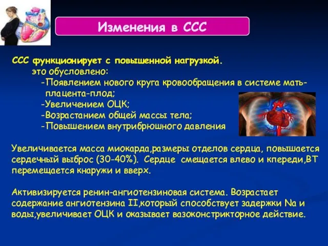 Изменения в ССС ССС функционирует с повышенной нагрузкой. это обусловлено: Появлением нового