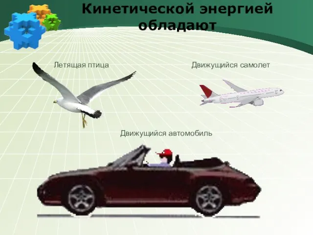 Кинетической энергией обладают Движущийся самолет Летящая птица Движущийся автомобиль