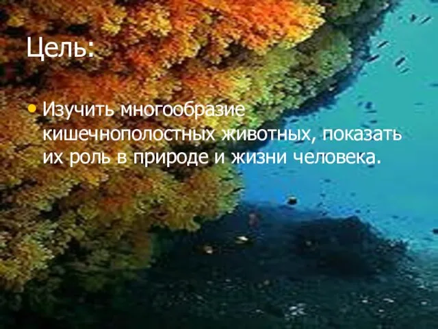 Цель: Изучить многообразие кишечнополостных животных, показать их роль в природе и жизни человека.