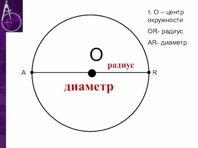 О R т. О – центр окружности ОR- радиус АR- диаметр радиус диаметр А