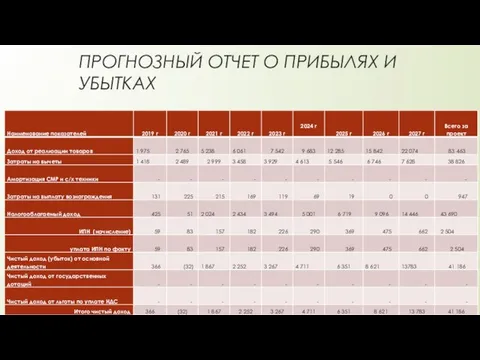 ПРОГНОЗНЫЙ ОТЧЕТ О ПРИБЫЛЯХ И УБЫТКАХ