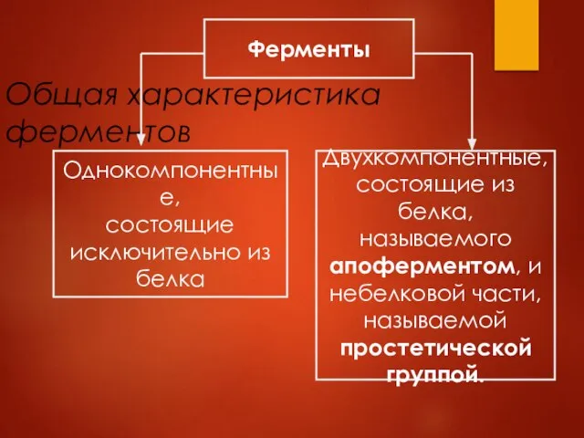 Общая характеристика ферментов Ферменты Однокомпонентные, состоящие исключительно из белка Двухкомпонентные, состоящие из