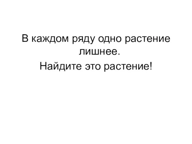 В каждом ряду одно растение лишнее. Найдите это растение!