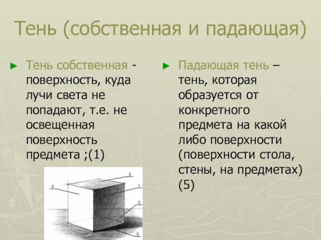 Тень (собственная и падающая) Тень собственная -поверхность, куда лучи света не попадают,