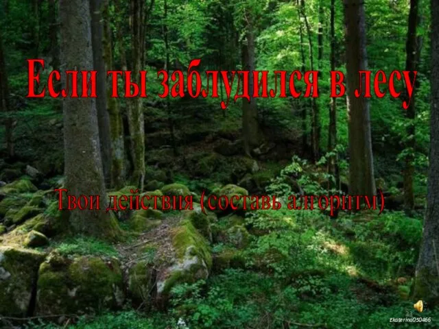 Если ты заблудился в лесу Твои действия (составь алгоритм)