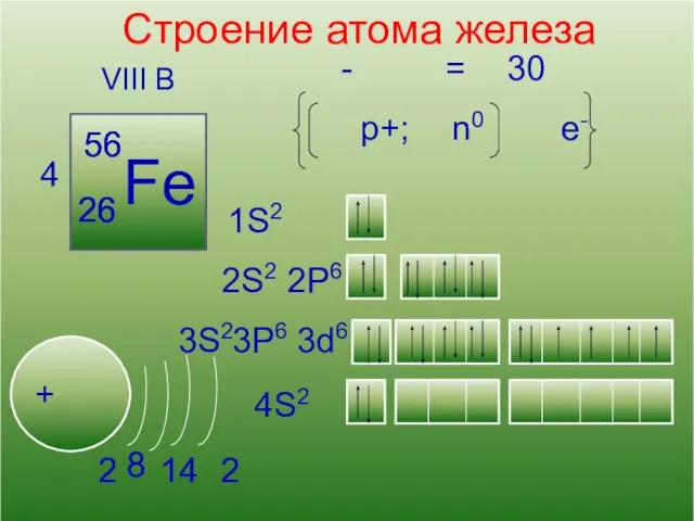 13 Кислород Строение атома железа VIII B 4 Fe + 56 26
