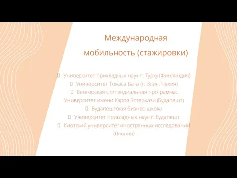 Международная мобильность (стажировки) Университет прикладных наук г. Турку (Финляндия) Университет Томаса Бата