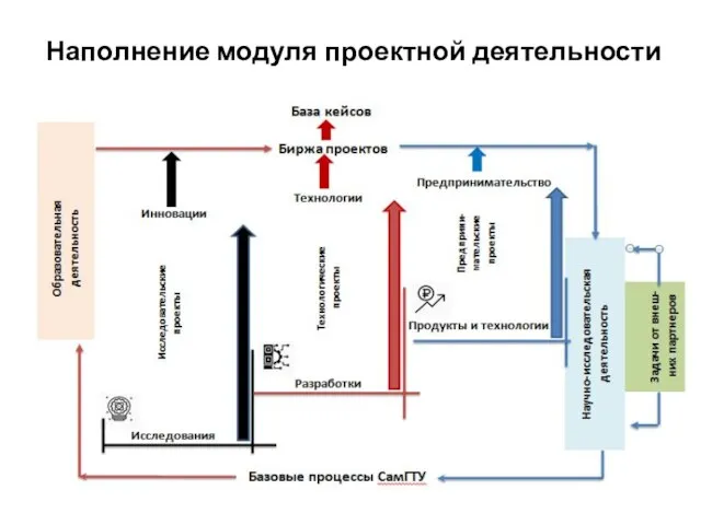 Наполнение модуля проектной деятельности