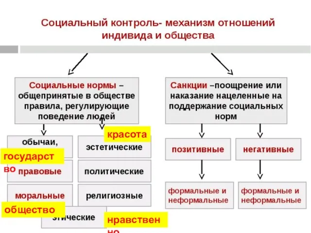 красота нравственно государство общество