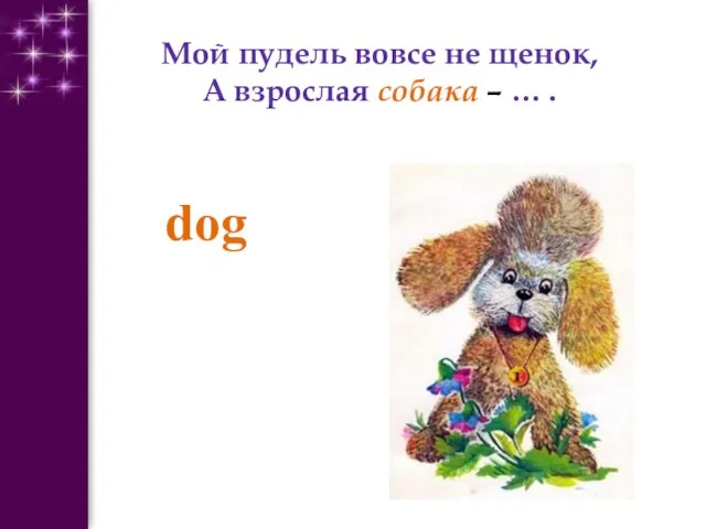 Мой пудель вовсе не щенок, А взрослая собака – … . dog