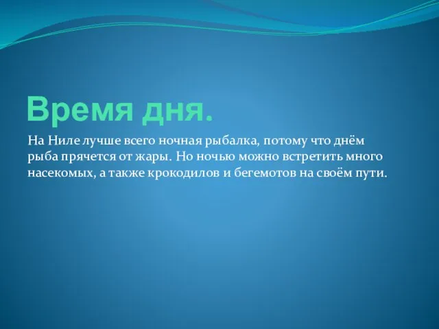 Время дня. На Ниле лучше всего ночная рыбалка, потому что днём рыба