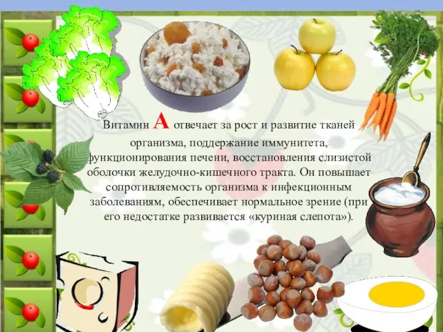 Витамин А отвечает за рост и развитие тканей организма, поддержание иммунитета, функционирования