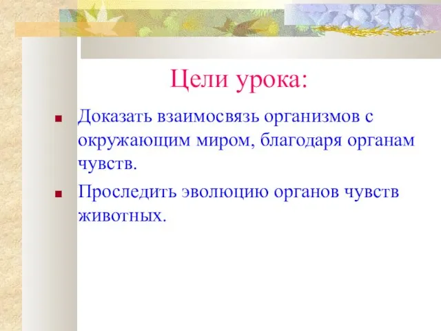 Цели урока: Доказать взаимосвязь организмов с окружающим миром, благодаря органам чувств. Проследить эволюцию органов чувств животных.