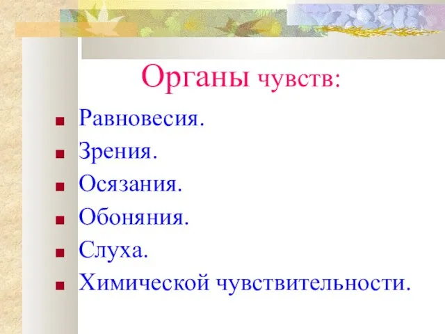 Органы чувств: Равновесия. Зрения. Осязания. Обоняния. Слуха. Химической чувствительности.