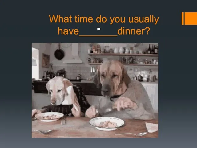 What time do you usually have_______dinner? -
