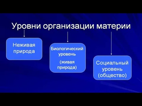 Уровни организации материи