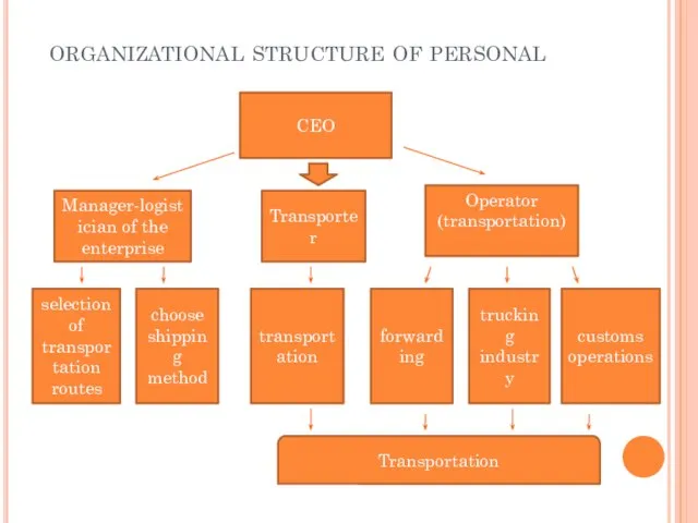 organizational structure of personal CEO Manager-logistician of the enterprise Transporter Operator (transportation)