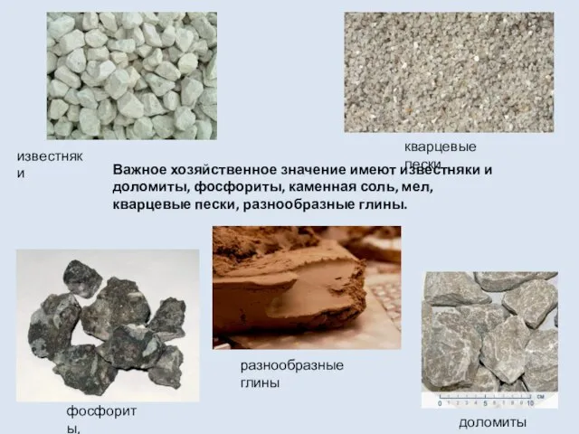 Важное хозяйственное значение имеют известняки и доломиты, фосфориты, каменная соль, мел, кварцевые