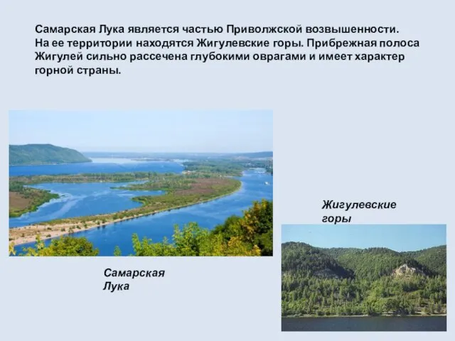 Самарская Лука является частью Приволжской возвышенности. На ее территории находятся Жигулевские горы.