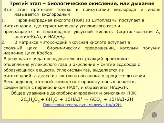 Третий этап – биологическое окисление, или дыхание Этот этап протекает только в