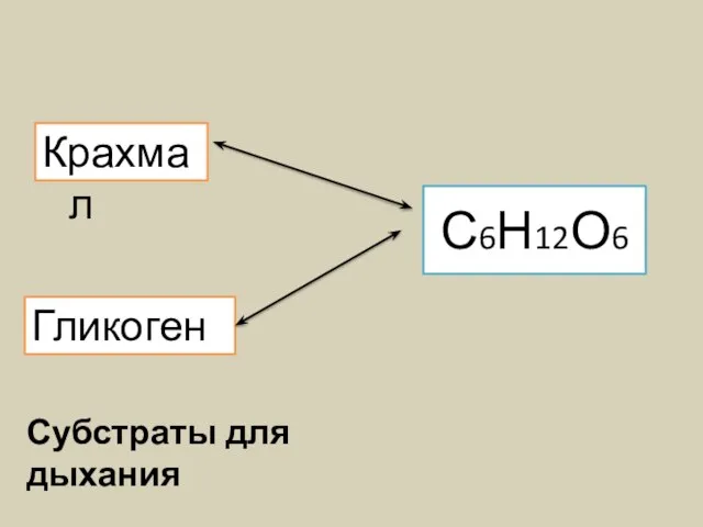 С6Н12О6 Крахмал Гликоген Субстраты для дыхания