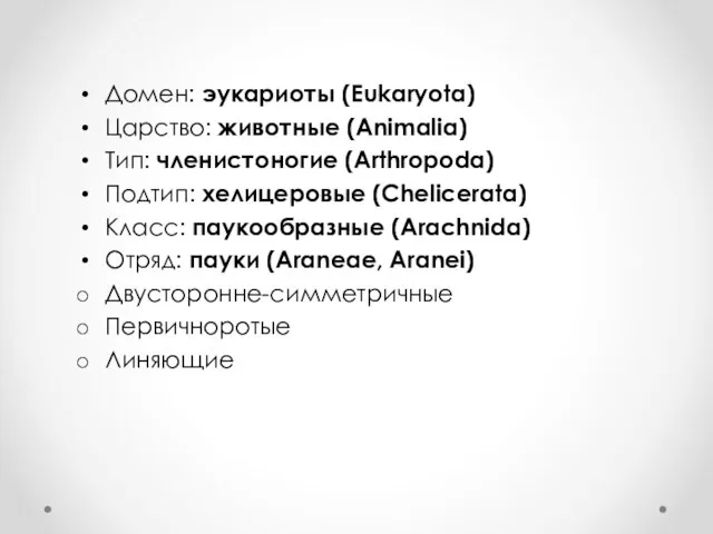 Домен: эукариоты (Eukaryota) Царство: животные (Animalia) Тип: членистоногие (Arthropoda) Подтип: хелицеровые (Chelicerata)