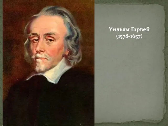 Уильям Гарвей (1578-1657)