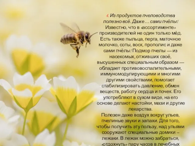 4. Из продуктов пчеловодства полезно всё. Даже… сами пчёлы! Известно, что в