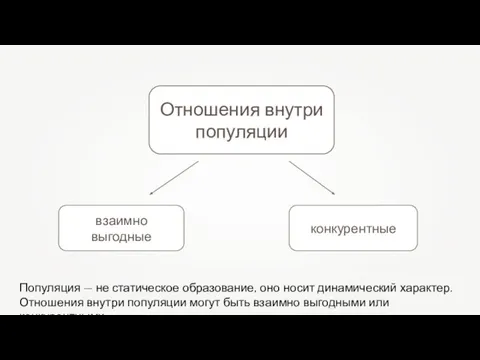 Отношения внутри популяции Популяция — не статическое образование, оно носит динамический характер.