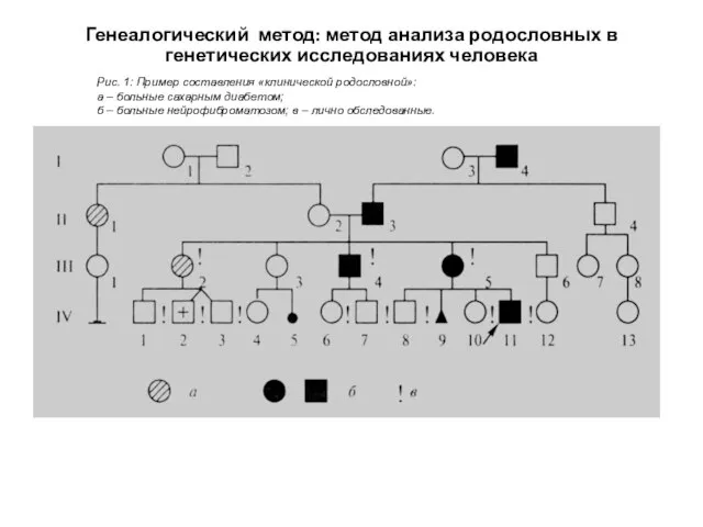 Рис. 1: Пример составления «клинической родословной»: а – больные сахарным диабетом; б