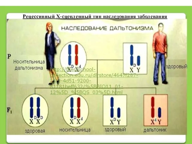 Рецессивный Х-сцепленный тип наследования заболевания