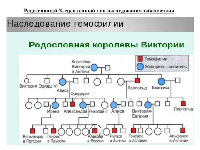 Рецессивный Х-сцепленный тип наследования заболевания