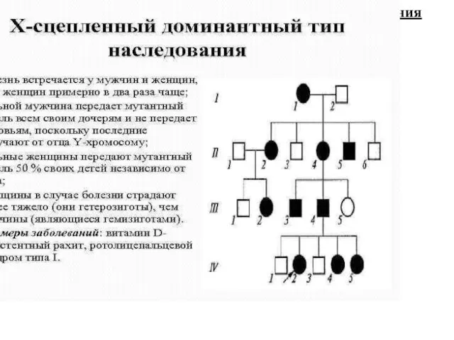 Доминантный Х-сцепленный тип наследования заболевания