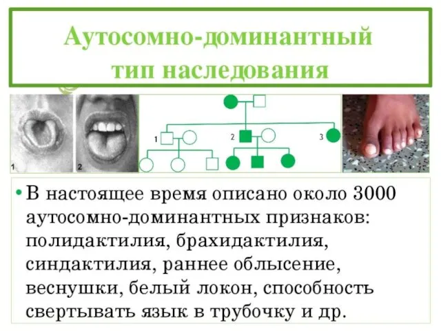 Основные признаки аутосомно-доминантного наследования: заболевание проявляется в каждом поколении без пропусков. Исключения