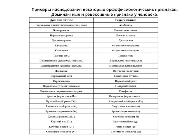 Примеры наследования некоторых орфофизиологических признаков. Доминантные и рецессивные признаки у человека.