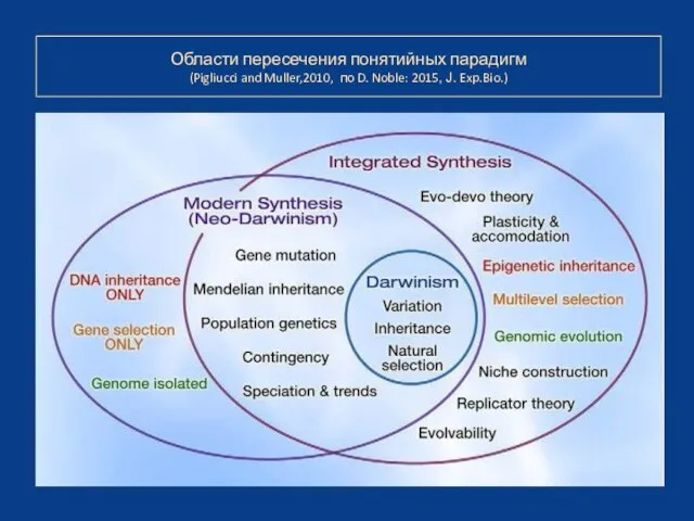 Области пересечения понятийных парадигм (Pigliucci and Muller,2010, по D. Noble: 2015, J. Exp.Bio.)